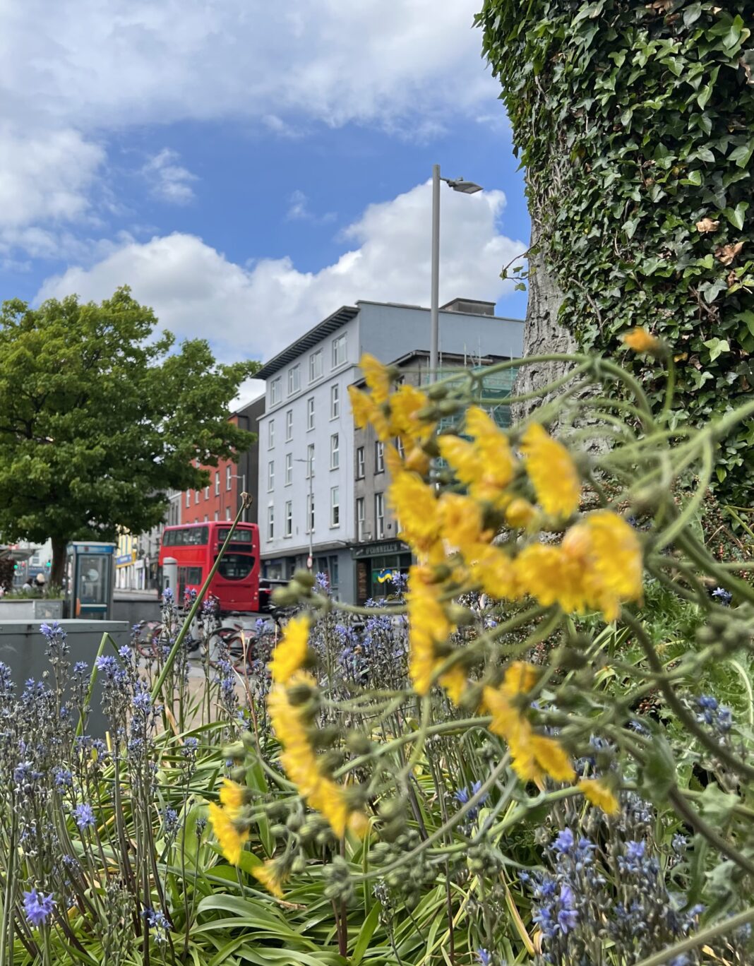 Eyre Square in the centre of Galway City