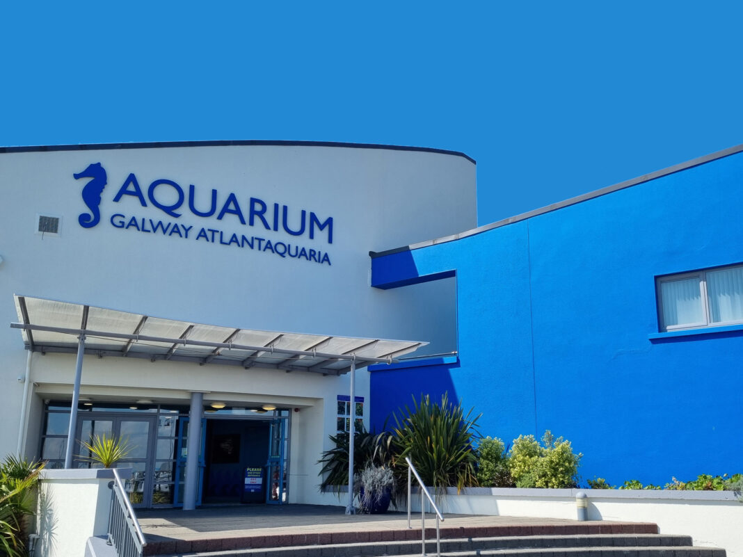 Galway Atlantaquaria: A Family-Friendly Aquarium in Salthill Galway Atlantaquaria on the Salthill Promenade