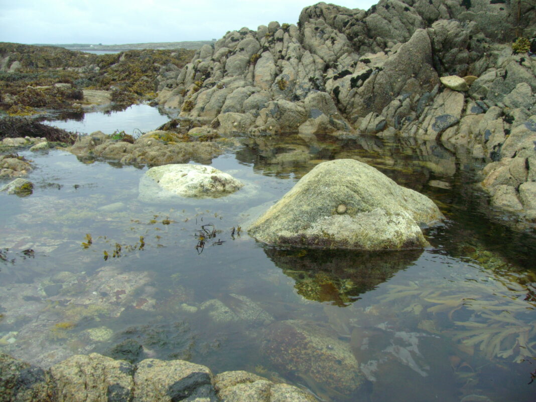 Best Beaches in Connemara: Dog’s Bay, Renvyle, Coral Strand & More Trá an Dóilín coral beach at Carraroe in Connemara