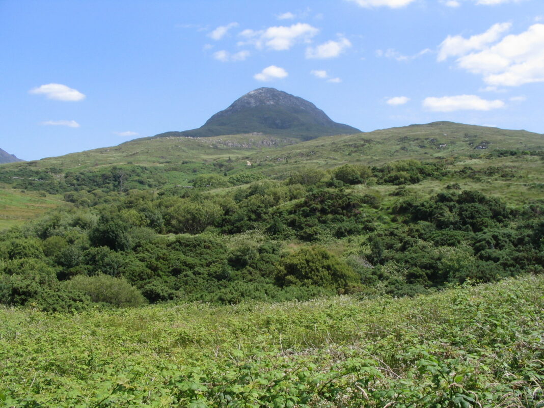 Best Walks in Connemara: Diamond Hill, Easy Trails & Western Way Diamond Hill in Connemara National Park