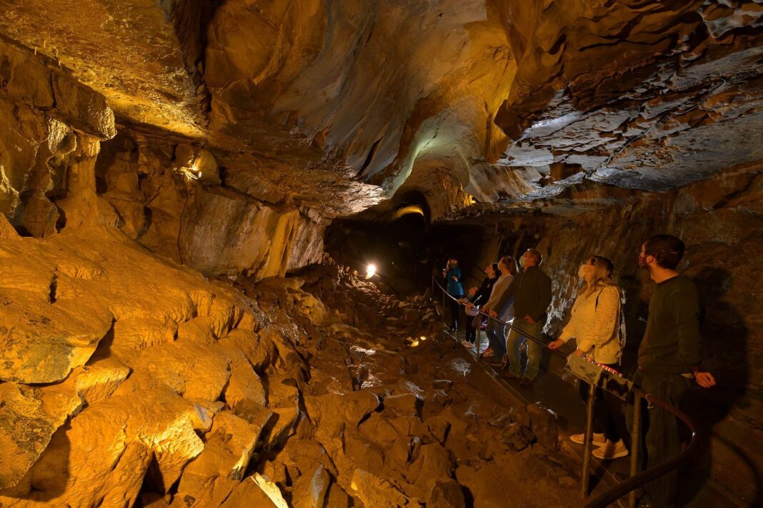 Aillwee Burren Experience: Cave Tours, Birds of Prey and Local Cheese Visitors looking up at limestone formations inside the illuminated Aillwee Cave